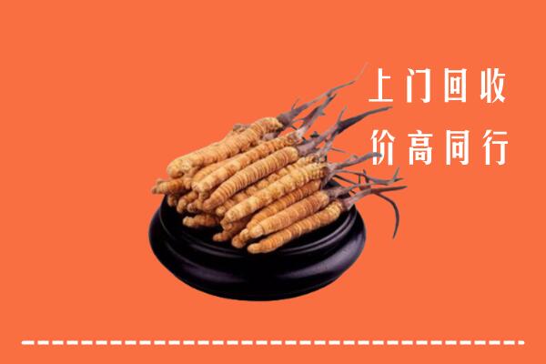高价求购：叶集区回收散虫草