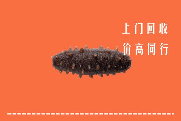 高价求购：叶集区回收海参