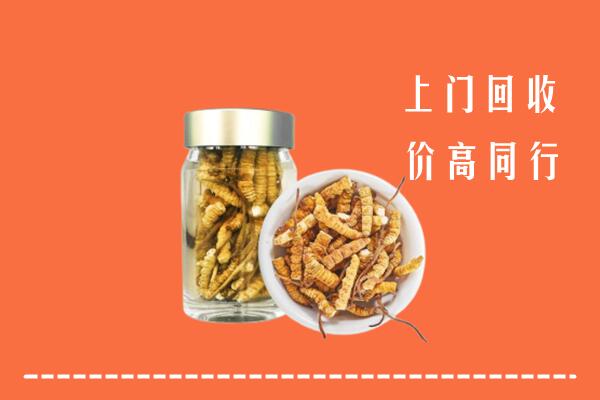叶集区回收冬虫夏草