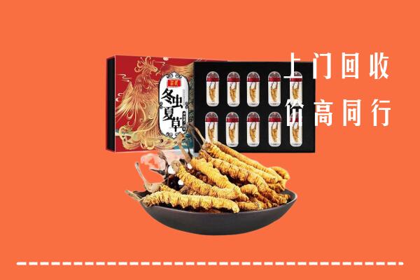 叶集区回收虫草